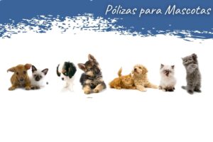 Portafolio de Soluciones