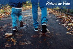 Portafolio de Soluciones